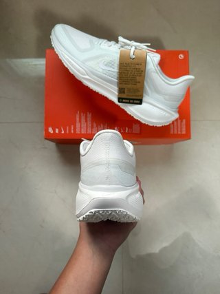 Nike Air Zoom Pegasus 41 GTX Blancas