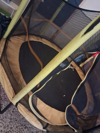 Cama elástica con red de seguridad