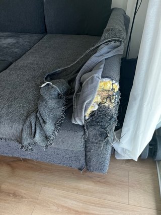 Regalo Sofá Cama Gris