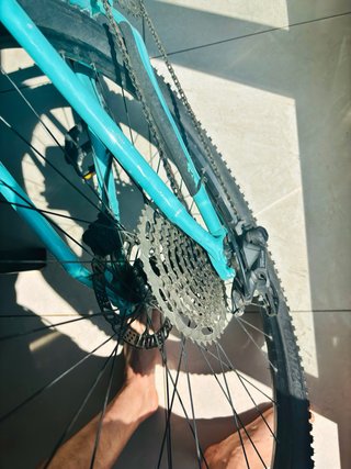 Bicicleta Trek Color Azul/Verde