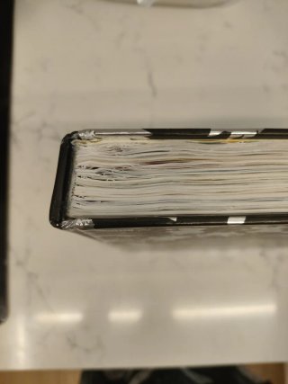 Enciclopedia Pokémon / Pokémon Encyclopedia
