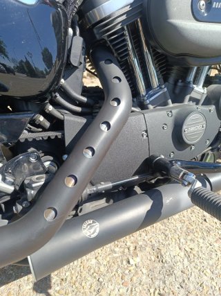 Harley Davidson Sportster Roadster 2018