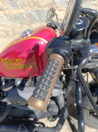 Harley Davidson Sportster Roadster 2018