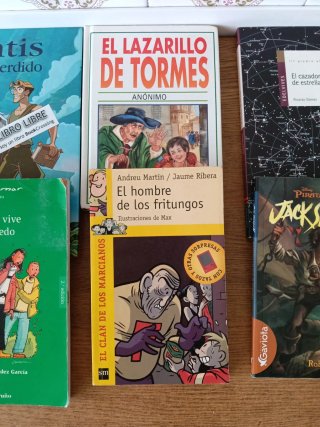 Lote de libros juveniles