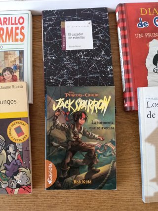 Lote de libros juveniles