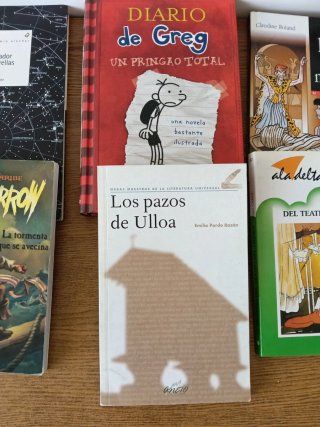 Lote de libros juveniles