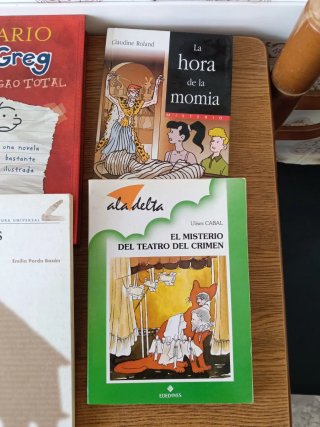 Lote de libros juveniles