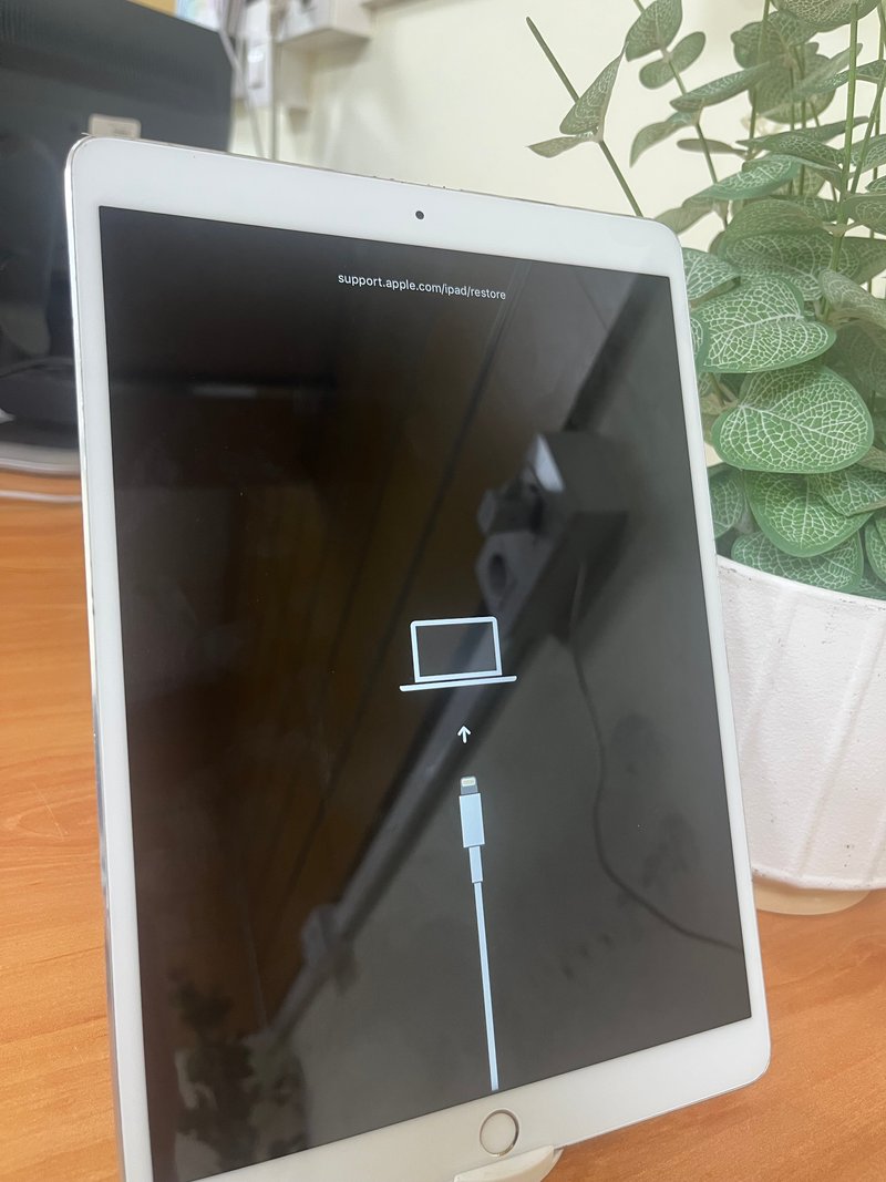 Apple iPad Pro 10,5" [2017] - WiFi + 4G (ref. 80845)