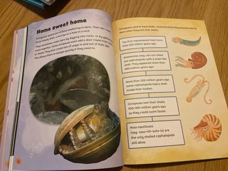 Readerful Independent Library: Oxford Reading L...