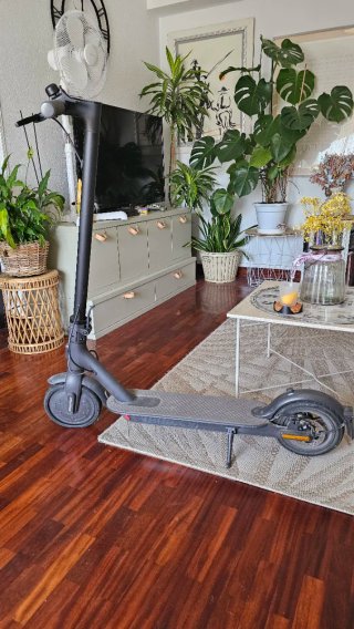 Patinete Eléctrico Xiaomi