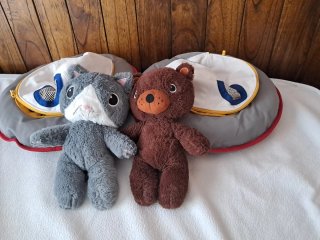 Oso y Gato Astronautas con Naves