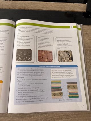 Biologia i geologia, 4 ESO, Projecte Construint...