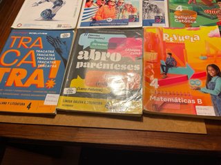 Lote completo libros 4 eso colegio Dominicos