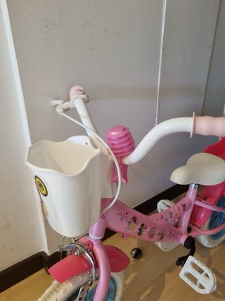 Bicicleta infantil Princesas