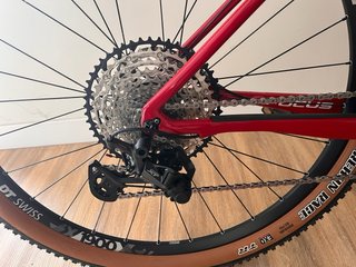 FOCUS Raven 8.8