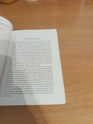 Poesía española