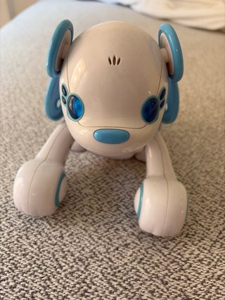 Gioco Nintendo DS Wappydog
