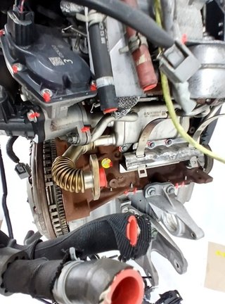 Jgrmp753304 motor k9k646 nissan juke (f15) 1.5 dci
