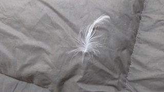Edredón de plumas naranja cama 135