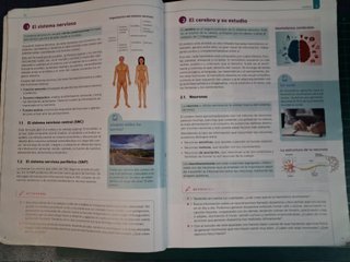Formacion y orientacion, 4 ESO, Editex