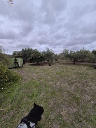 Casa rural en venta en Arcos de la Frontera