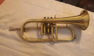 Fiscorn Amati Kraslice