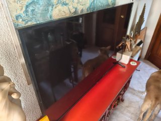 TV LG 50 4K Smart TV
