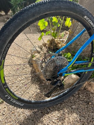 Bicicleta Trek Superfly 9.8