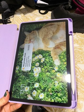 Xiaomi Pad SE 256GB Plata
