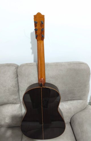 Guitarra Javier Castaño
