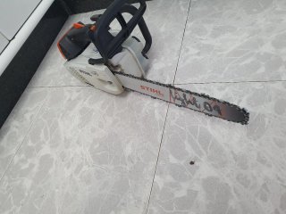 Motosierra Stihl MS 194 T