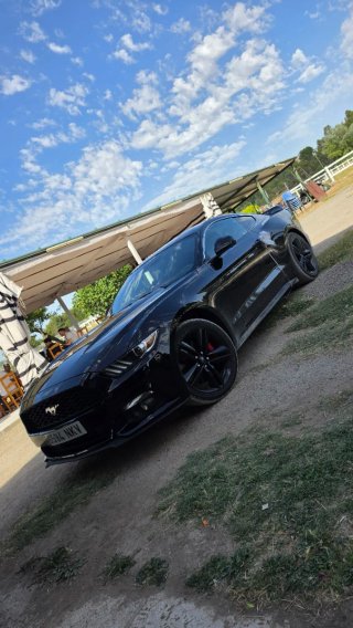 Mustang MANUAL