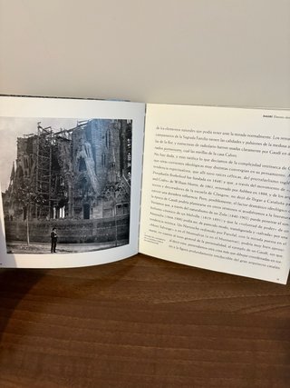 Gaudí una introducción a su arquitectura