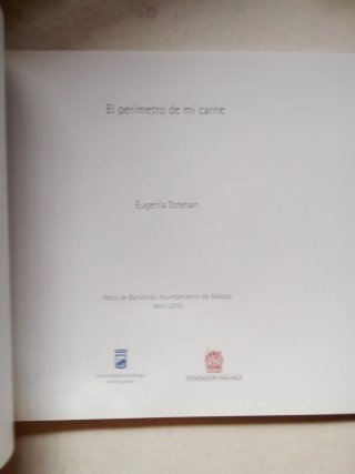 El perímetro de mi carne.