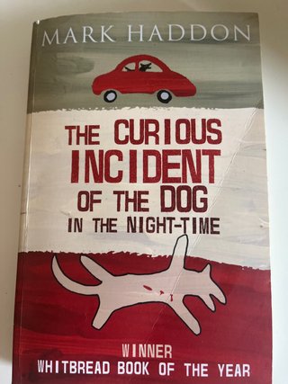 The Curious Incident of the Dog in the Night-time