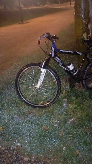 Bicicleta de Montaña Berg Sportcross 1.0