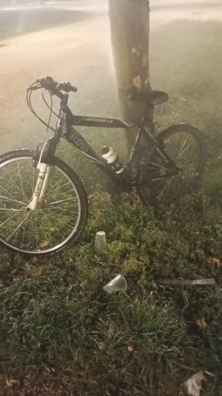 Bicicleta de Montaña Berg Sportcross 1.0