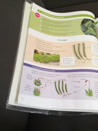 BIOLOXIA E XEOLOXIA 1 ESO CONTRUINDO MUNDOS