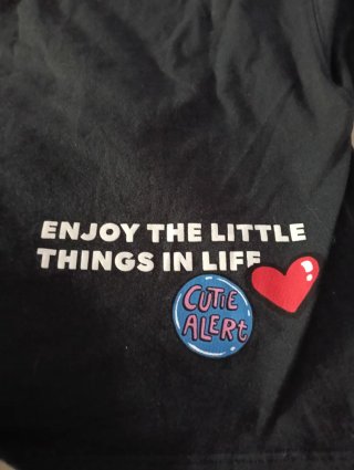 Camiseta niña Zara
