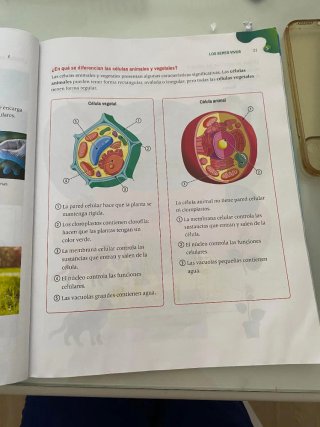 Science. Outside the box. Macmillan educación