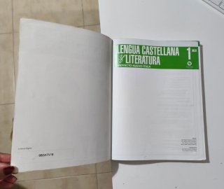 Lengua Castellana y Literatura 1 Bachillerato