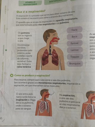 Ciencias da naturaleza, 4 Primaria plastificado