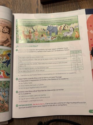 Libros de texto de 4º de Primaria