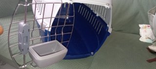 Transportín para mascotas azul y blanco