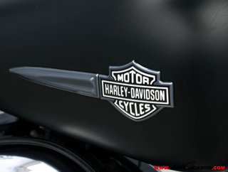 HARLEY-DAVIDSON DYNA FAT BOB