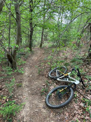 Orbea Oiz 2026 M30 XL