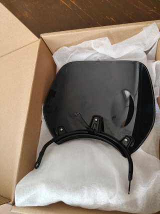 Pantalla Royal Enfield Guerrilla Negra