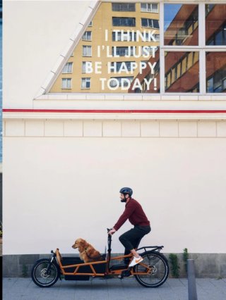 Bici Carga Eléctrica Riese&Müller 75 var CargoBike