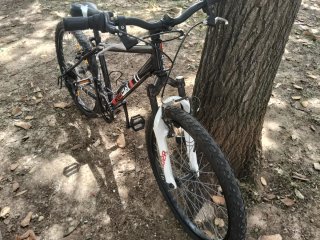 Bicicletas freerider y Rockrider de 24"