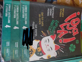 Lote libros 4º Primaria – buen estado